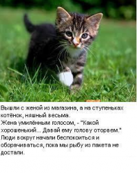 Котоспиритизм