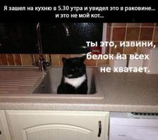 Немного Юмора