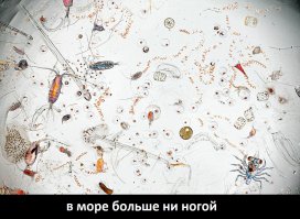  35 красивых кадров уходящего года