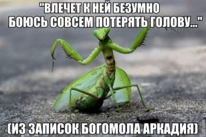 чуть что так сразу Аркадий