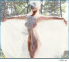 Платья просто блеск 