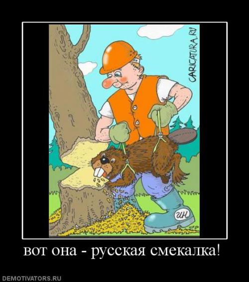 Подборка видео от 10.12.2013