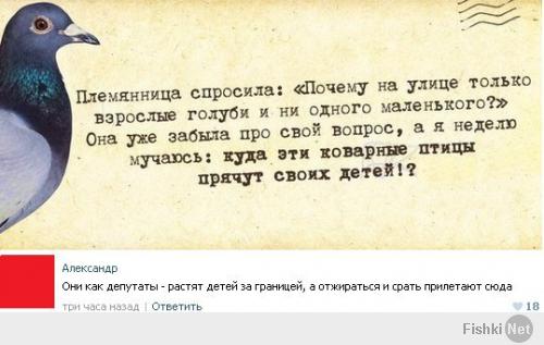 Фишкина солянка за 12.02.2014
