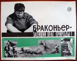 10 исчезающих диких кошек