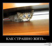 Чеки - убийцы