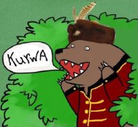 Кандидат в президенты Польши