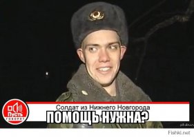 Животные, которые «взорвали» интернет в 2014 году