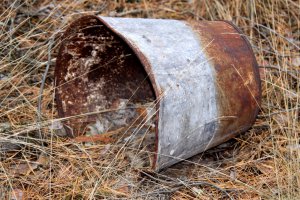 Порнозвезды "на пенсии"