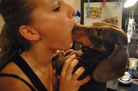 Не устаревающие баяны)