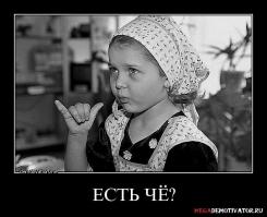 В Сыктывкаре школьники пытались отнять наркотики у белки