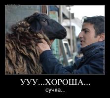 Похищение овцы