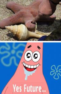 Для отличного настроения на весь день!