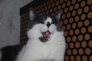 Топить его хозяева собирались, а не мы) не подумайте) я мухи то не обижу)