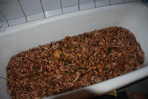 я больше по опятам =)