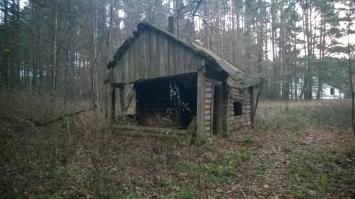 Не исключено. Но он был заброшен и полуразрушен. Ниже прикладываю фотку домика сбоку. Домик небольшой - моя голова была на уровне нижней кромки свеса крыши.
Также в стороне я видел кучу брёвен - похоже, что там было ещё какое-то строение, относящееся к этому домику, но его то ли разобрали, то ли само развалилось...