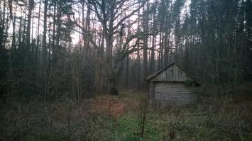 Вот, лично сфоткал возле одного из санаториев в Белоруссии этим ноябрём, будучи там на отдыхе.