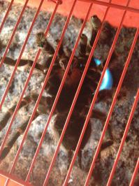 Моя Татьяна Петровна))