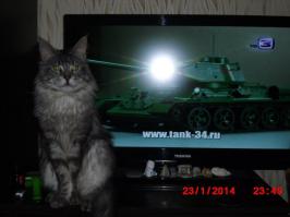 20 минут Кошачий дури