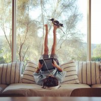 интересно сколько раз он расшибал себе голову об стекло?