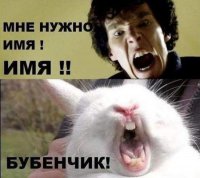 20 животных, поедающих фрукты и ягоды, которые выглядят как кровожадные монстры