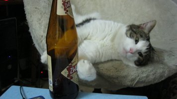 25 лучших центров ночной жизни