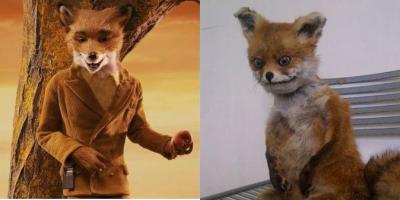 Как изменились персонажи мультфильмов