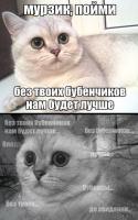 Котики удивляют и улыбают 