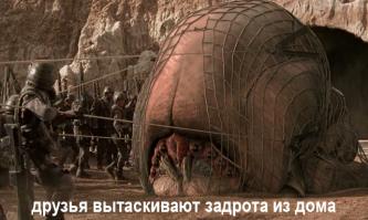 Самые огромные насекомые нашей планеты