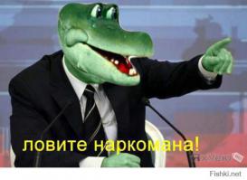  Мой кот любитель конопли