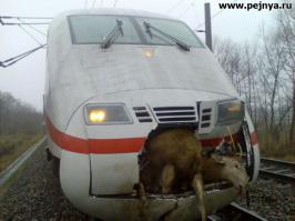 Блять нашел чем удивить