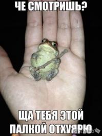 Собака человеку...друг ли?