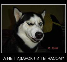 В России появится День вежливых людей (7октября)