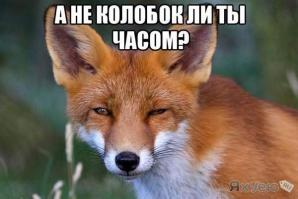 Снайпер и пулемётчица