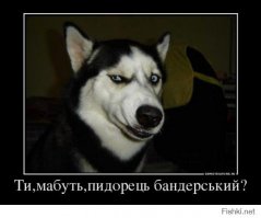 Кто охраняет Донбасс