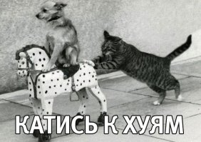 Кто охраняет Донбасс