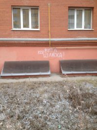 Весёлые картинки