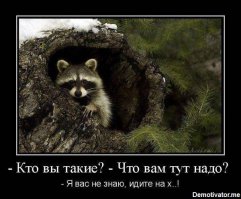 "Майдана" в России не будет!