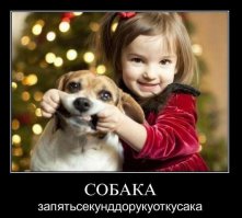 31 улыбка от зверушек, которые сделали нас счастливее в 2014 году