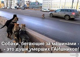 Сборка моих картинок 