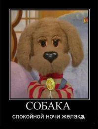 Не спи, Мухтар!