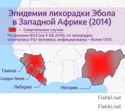  Эбола и нефть (какая связь?)