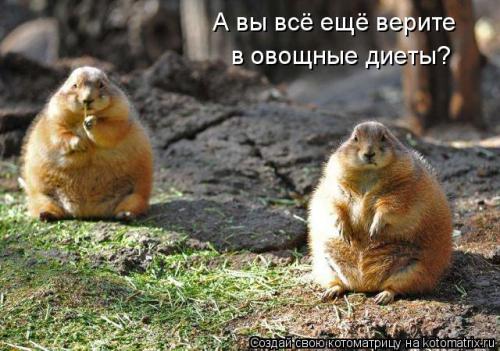 Самые толстые животные