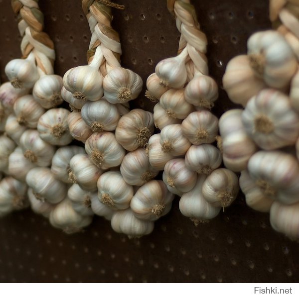 Правильная сервировка стола - залог приятного вечера