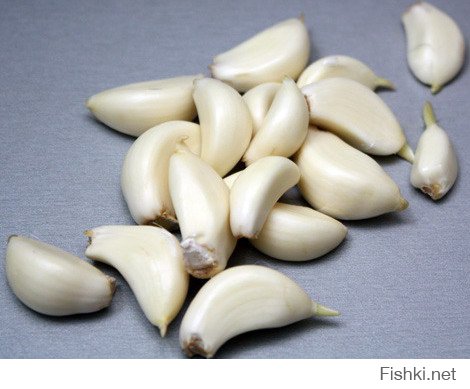 Правильная сервировка стола - залог приятного вечера