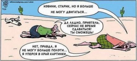12 причин никогда не сдаваться