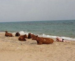 Парень с телками.