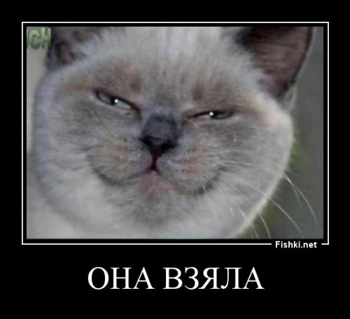 Подборка видео от 17.01.2014