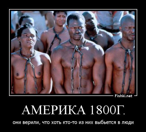 Подборка видео от 30.01.2014