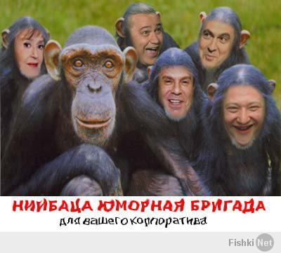 Подборка видео от 31.01.2014