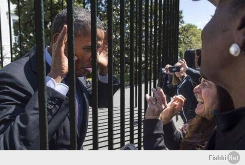 Подборка видео от 02.06.2014